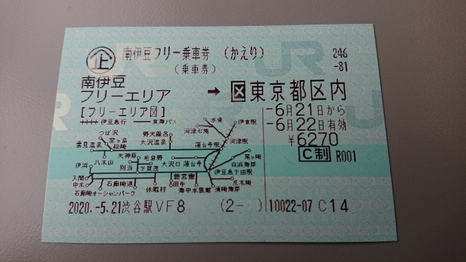 鉄道乗車記録の写真:きっぷ(10)        「南伊豆フリー乗車券かえり」