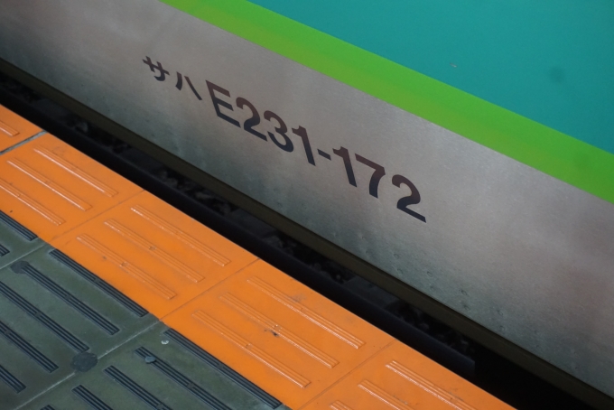 鉄道乗車記録の写真:車両銘板(2)        「JR東日本 サハE231-172」