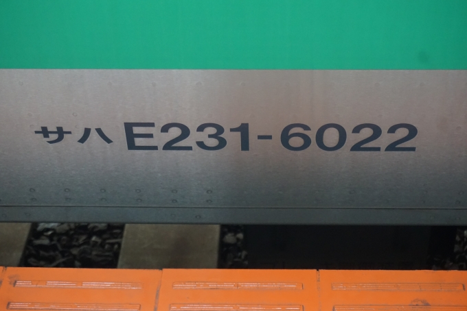 鉄道乗車記録の写真:車両銘板(2)        「JR東日本 サハE231-6022」