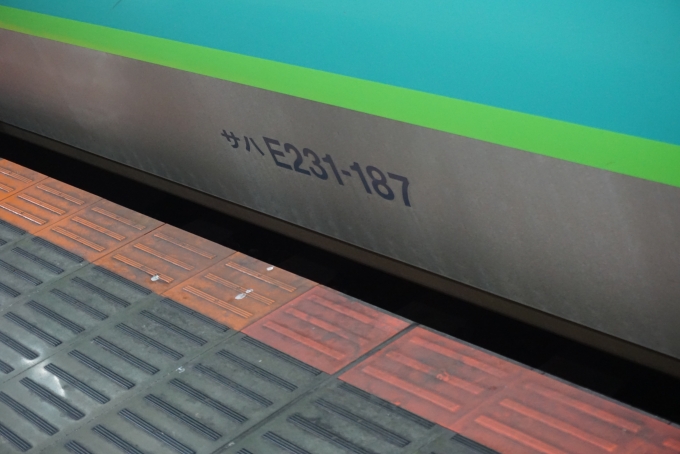 鉄道乗車記録の写真:車両銘板(3)        「JR東日本 サハE231-187」