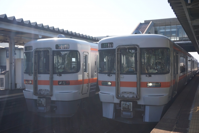 鉄道乗車記録の写真:乗車した列車(外観)(5)        「左はJR東海 キハ25-3
右はJR東海 キハ25-1005」