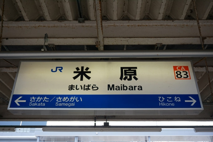 鉄道乗車記録の写真:駅名看板(10)        「米原駅」