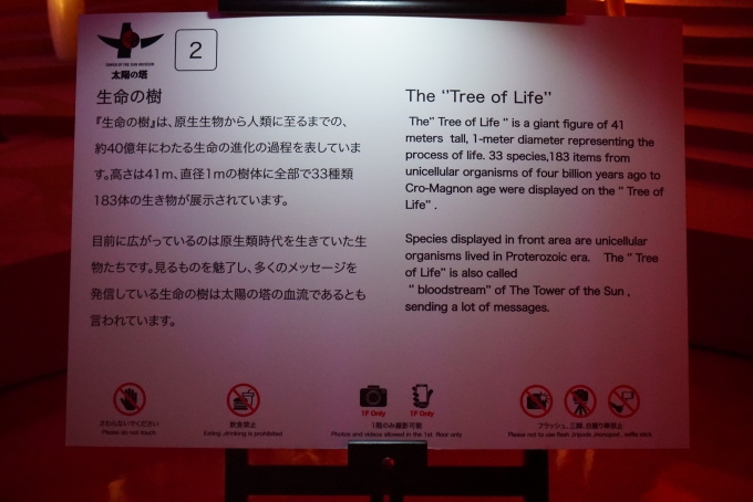 鉄道乗車記録の写真:旅の思い出(19)        「生命の樹」