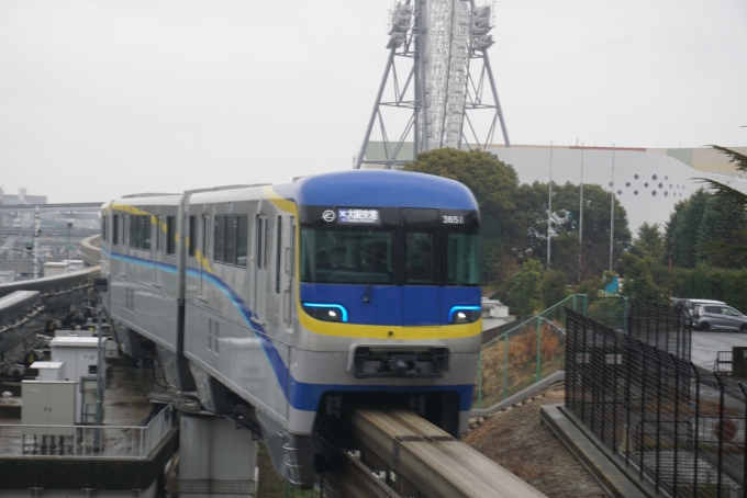鉄道乗車記録の写真:乗車した列車(外観)(5)        「大阪モノレール 3651」