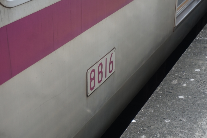 鉄道乗車記録の写真:車両銘板(5)        「東京メトロ 8816」