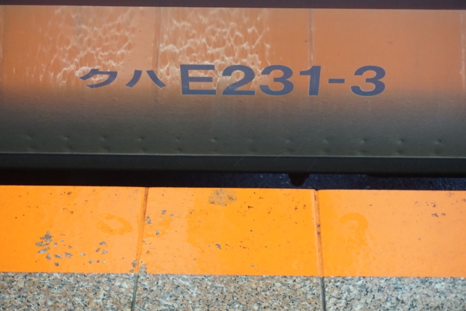 鉄道乗車記録の写真:車両銘板(3)        「JR東日本 クハE231-3」