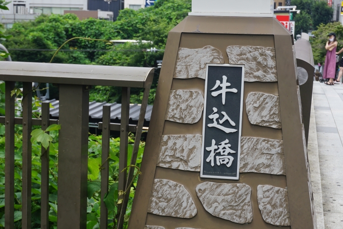 鉄道乗車記録の写真:旅の思い出(11)        「飯田橋駅の上にある牛込橋」