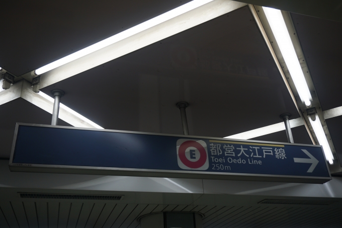 鉄道乗車記録の写真:駅舎・駅施設、様子(4)        「都営大江戸線250m」