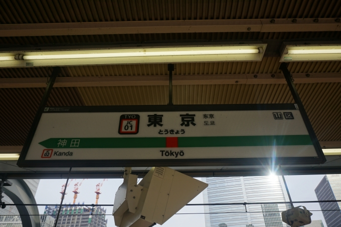 鉄道乗車記録の写真:駅舎・駅施設、様子(1)          「中央線東京駅」