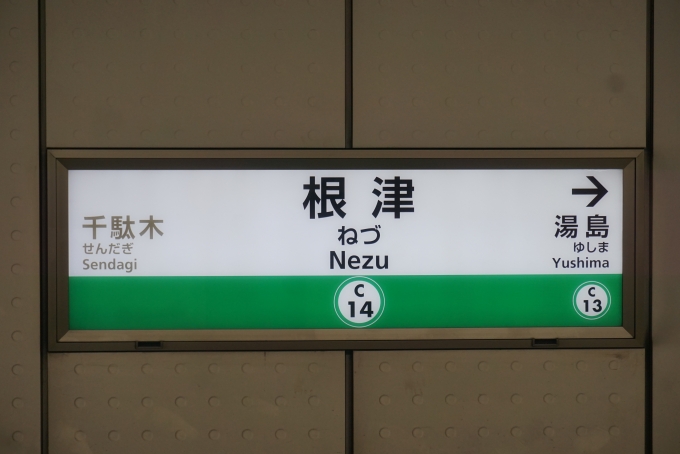鉄道乗車記録の写真:駅名看板(3)        「千代田線根津駅」