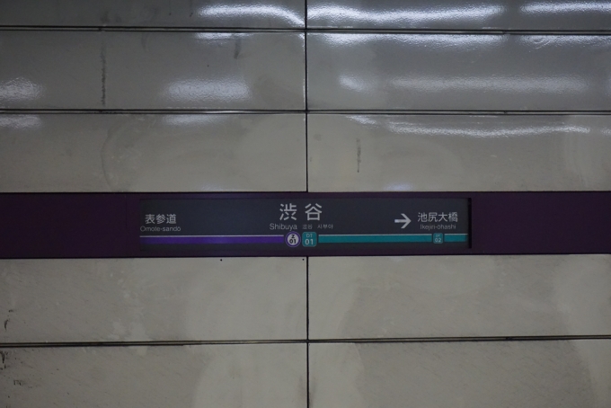 鉄道乗車記録の写真:駅名看板(1)          「田園都市線渋谷駅」