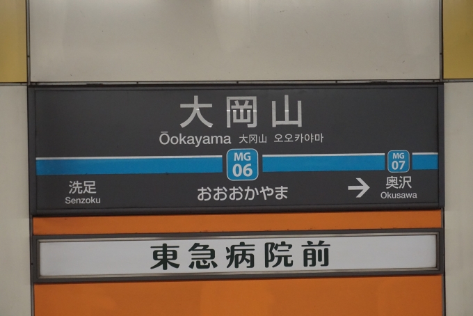 鉄道乗車記録の写真:駅名看板(2)        「大岡山駅」