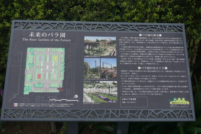 鉄道乗車記録の写真:旅の思い出(32)        「ガーデンネックレス横浜の未来バラ園」
