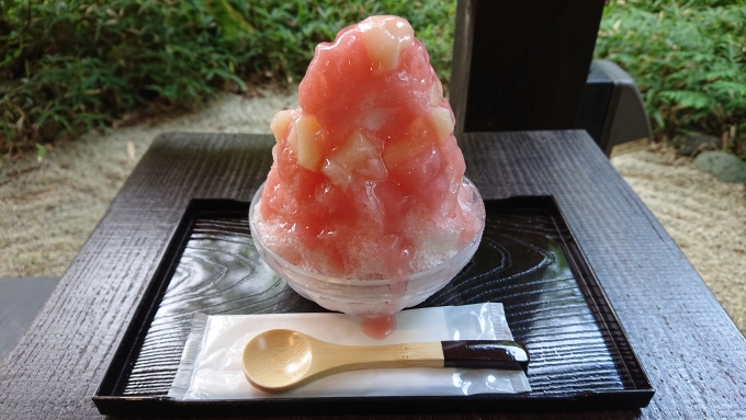 鉄道乗車記録の写真:旅の思い出(9)        「箱根湯寮で食べたモモのかき氷」