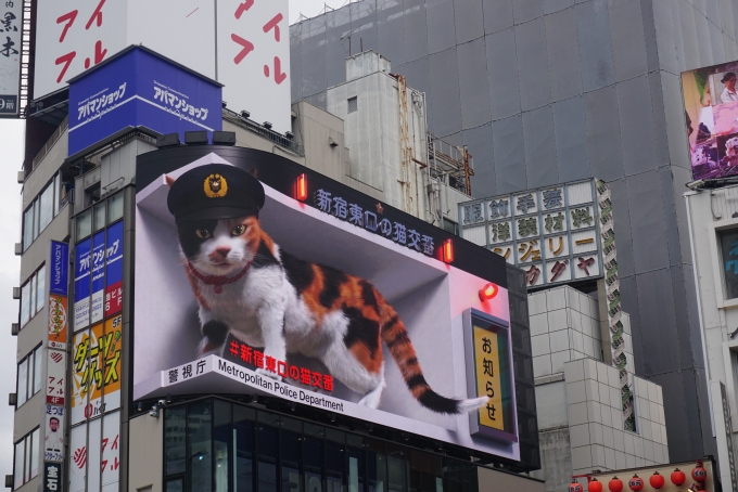 鉄道乗車記録の写真:旅の思い出(12)        「新宿東口の猫交番」