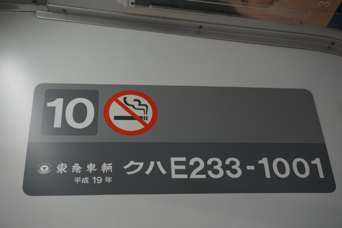 鉄道乗車記録の写真:車両銘板(2)        「JR東日本 クハE233-1001」