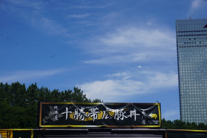 鉄道乗車記録の写真:旅の思い出(9)        「北海道十勝帯広豚丼」