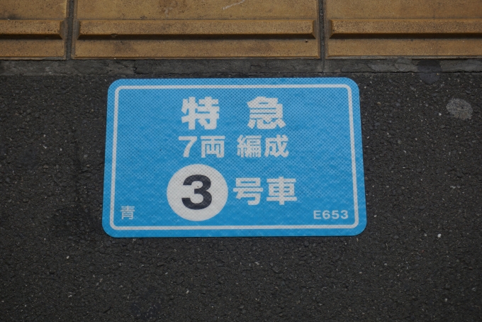 鉄道乗車記録の写真:駅舎・駅施設、様子(2)        「特急7両編成3号車」