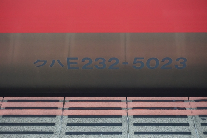 鉄道乗車記録の写真:車両銘板(3)        「JR東日本 クハE232-5023」