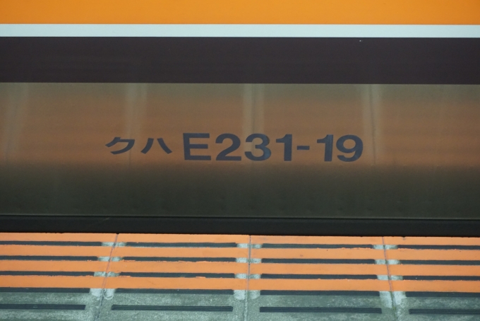 鉄道乗車記録の写真:車両銘板(2)        「JR東日本 クハE231-19」