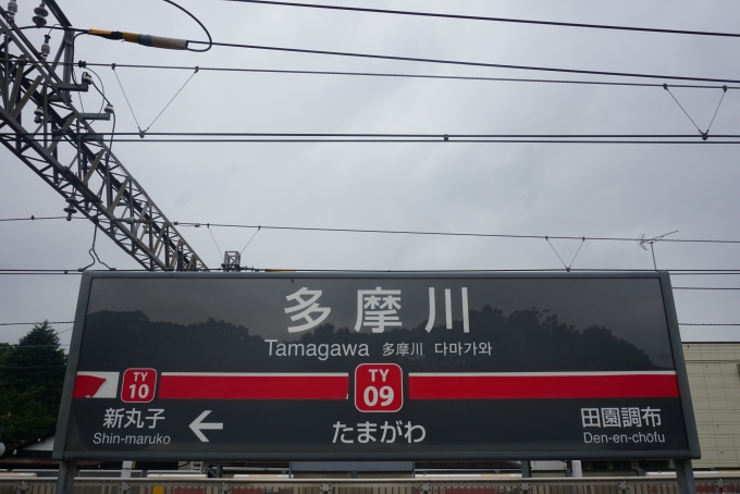 鉄道乗車記録の写真:駅名看板(6)        「多摩川駅」