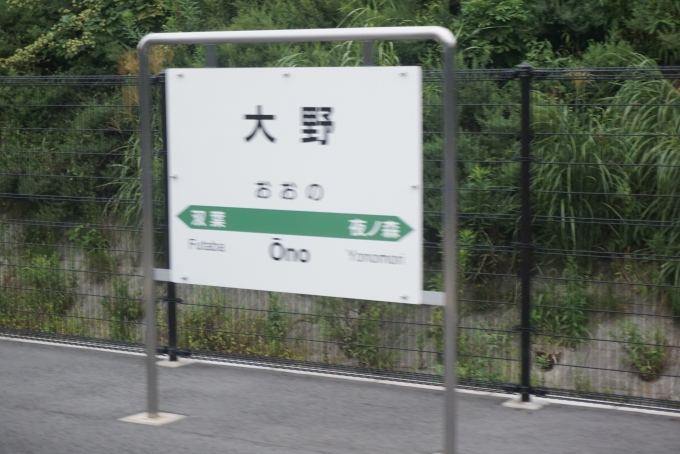 鉄道乗車記録の写真:駅名看板(10)        「大野駅」