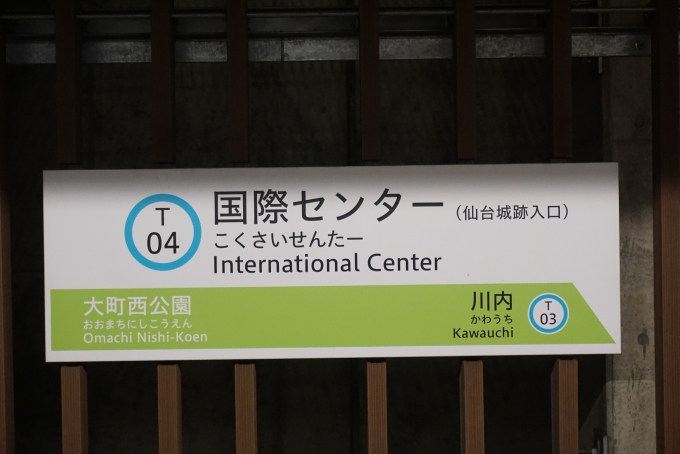 鉄道乗車記録の写真:駅名看板(6)        「国際センター駅」