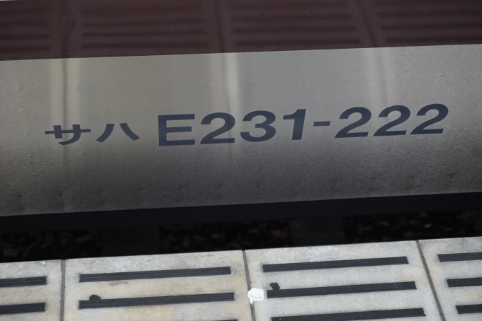 鉄道乗車記録の写真:車両銘板(2)        「JR東日本 サハE231-222」