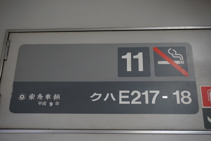 鉄道乗車記録の写真:車両銘板(2)        「JR東日本 クハE217-18」