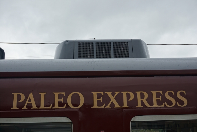 鉄道乗車記録の写真:乗車した列車(外観)(10)        「パレオエクスプレス」