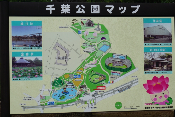 鉄道乗車記録の写真:旅の思い出(4)        「千葉公園マップ」