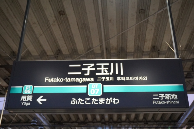 鉄道乗車記録の写真:駅名看板(5)        「田園都市線二子玉川駅」