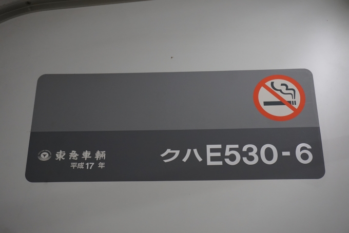 鉄道乗車記録の写真:車両銘板(8)        「JR東日本 クハE530-6」