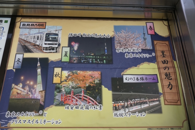 鉄道乗車記録の写真:駅舎・駅施設、様子(9)        「墨田の魅力」