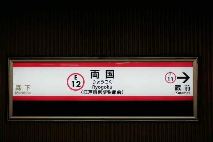 鉄道乗車記録の写真:駅名看板(6)        「大江戸線両国駅」