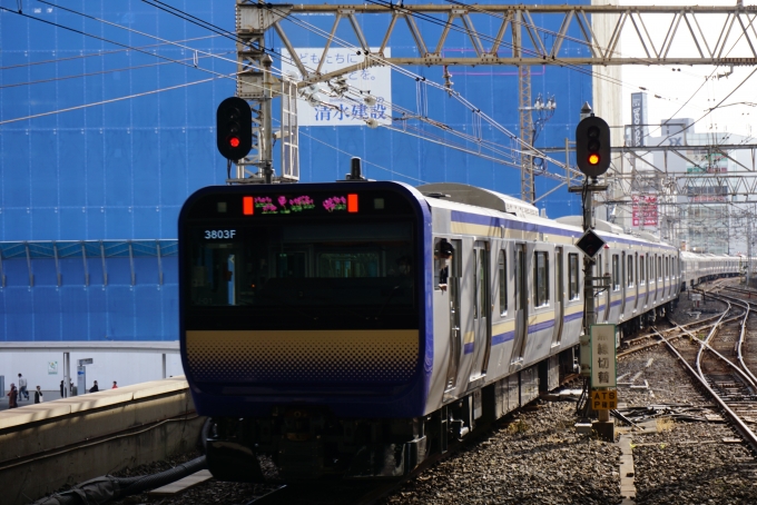 鉄道乗車記録の写真:乗車した列車(外観)(16)        「JR東日本 クハE234-1101、J01編成
降車後に撮影」