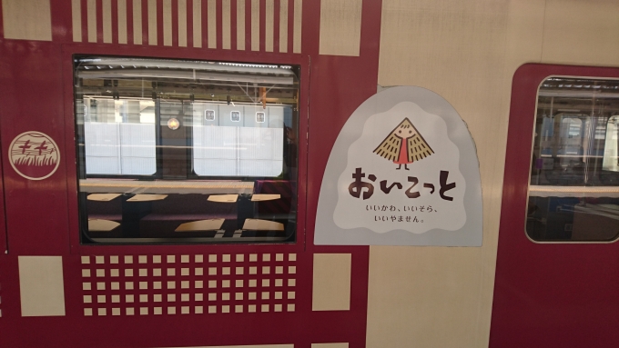 鉄道乗車記録の写真:乗車した列車(外観)(4)        「おいこっと「ロゴマーク」」