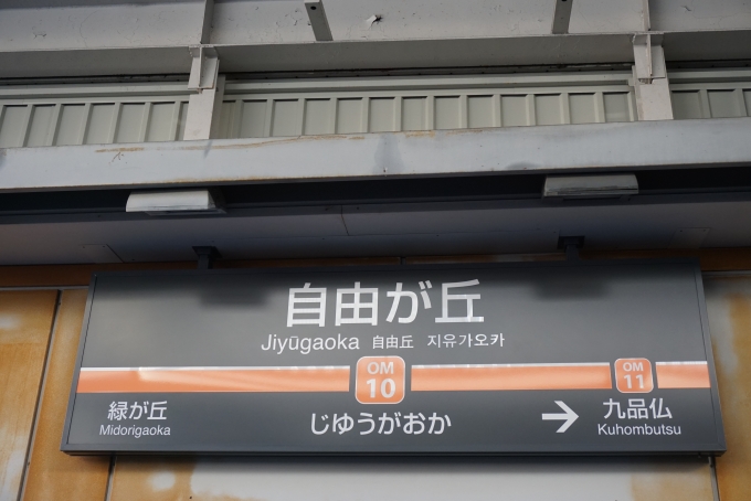 鉄道乗車記録の写真:駅名看板(5)        「大井町線自由が丘駅」