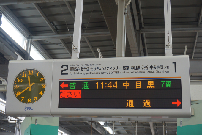 ぴえーる ニュービートル（フォルクスワーゲン）ニュービートルLZ（2008