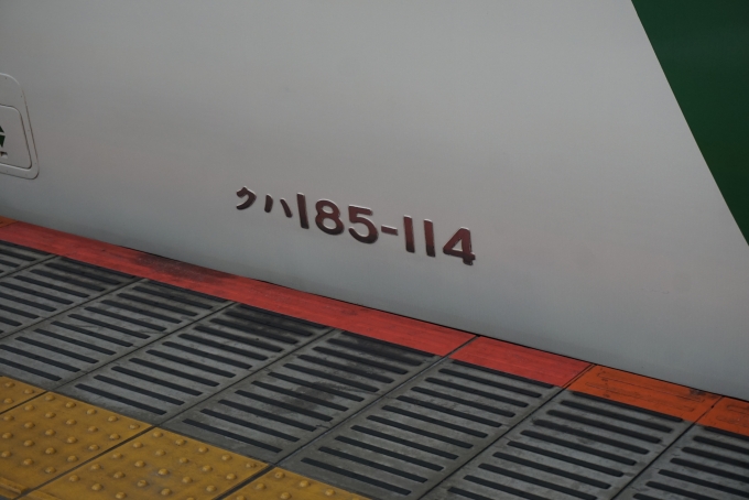 鉄道乗車記録の写真:車両銘板(5)        「JR東日本 クハ185-114」