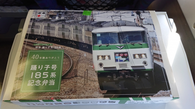 鉄道乗車記録の写真:駅弁・グルメ(6)     「踊り子号185系記念弁当」