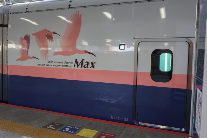 鉄道乗車記録の写真:乗車した列車(外観)(10)        「JR東日本 E453-125の外観」