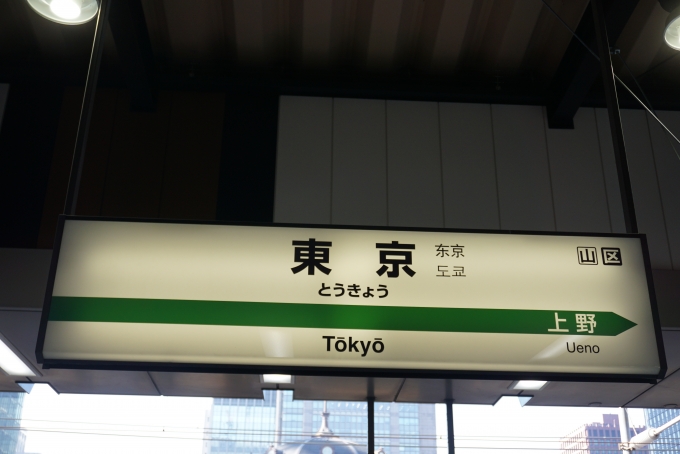 鉄道乗車記録の写真:駅名看板(12)        「東北新幹線東京駅」