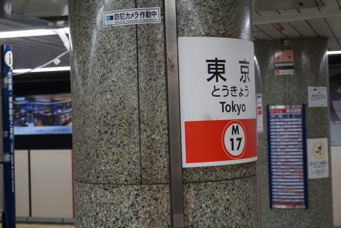 鉄道乗車記録の写真:駅名看板(2)        「丸の内線東京駅」