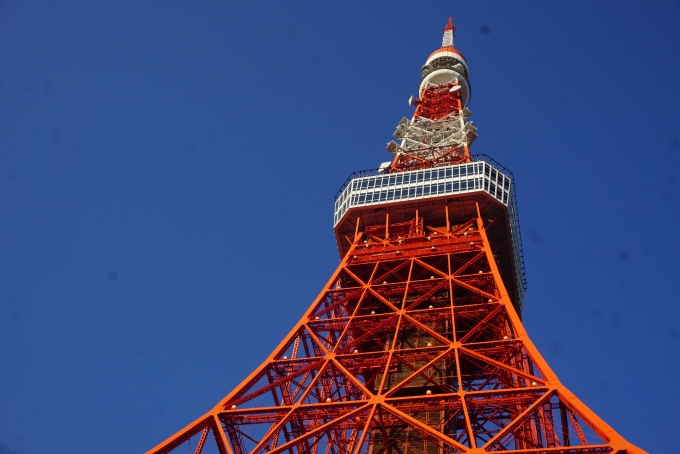 鉄道乗車記録の写真:旅の思い出(6)        「東京タワー」