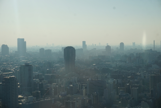 鉄道乗車記録の写真:旅の思い出(8)        「東京タワーからの景色2」