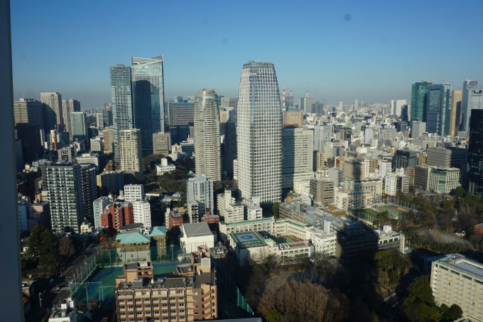 鉄道乗車記録の写真:旅の思い出(9)        「東京タワーからの景色3」