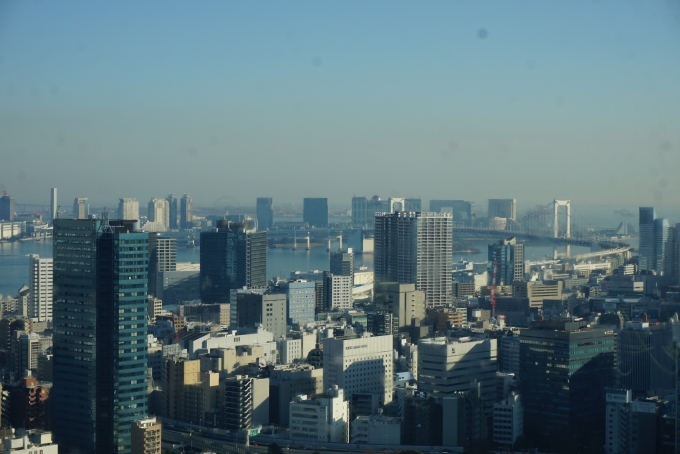 鉄道乗車記録の写真:旅の思い出(10)        「東京タワーからの景色4」