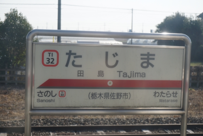 鉄道乗車記録の写真:駅名看板(5)        「佐野線田島駅」
