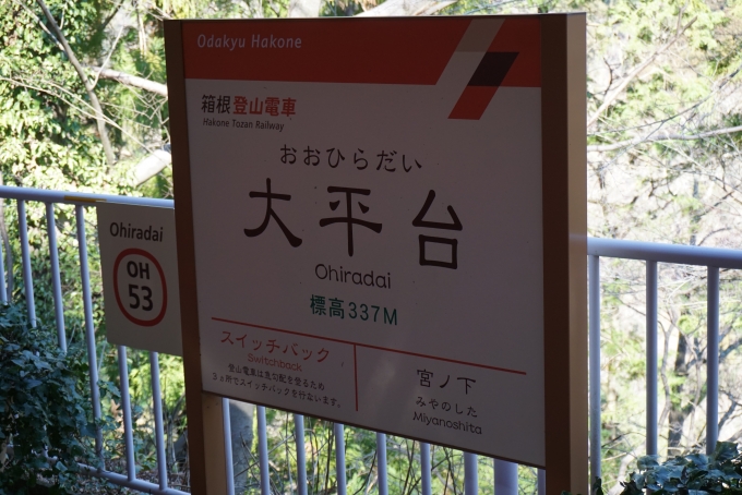 鉄道乗車記録の写真:駅名看板(6)        「大平台駅」